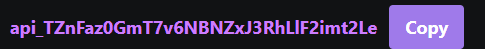 api key example with copy button